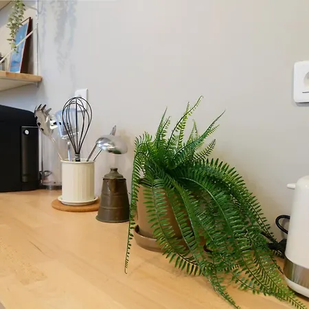 公寓 Expat Renting - Le Volta - Terrasse - Netflix 圖盧茲